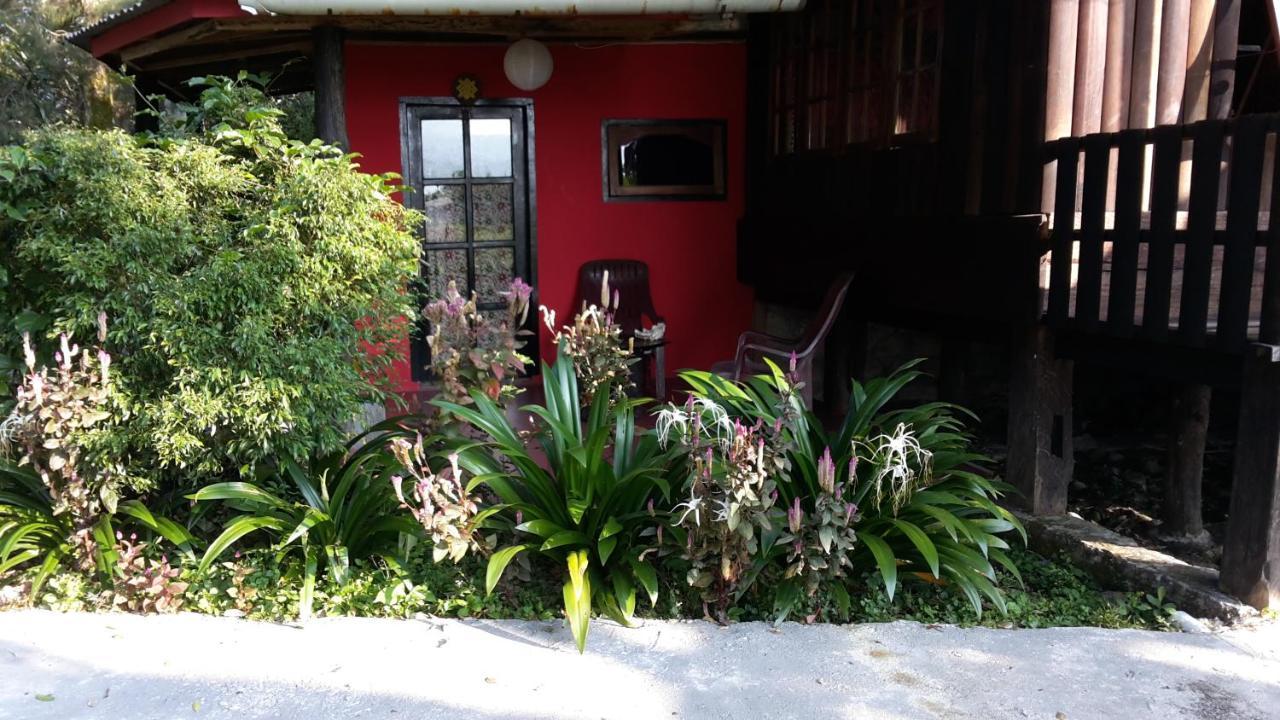 Liberta Homestay Tuk Tuk Ngoại thất bức ảnh